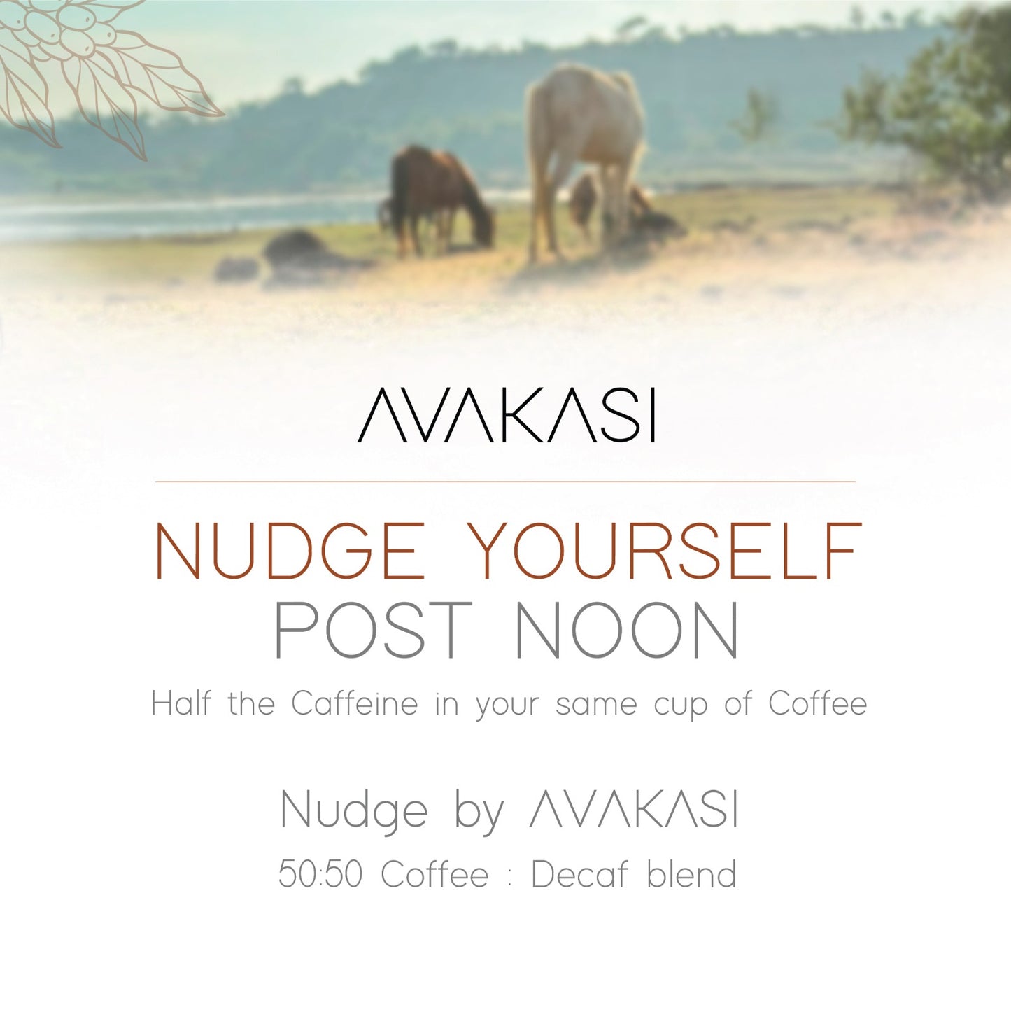 Avakasi Decaf Nudge (50% Decaf : 50% Coffee)